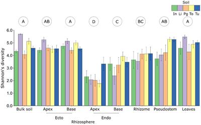 The core fungal microbiome of banana (Musa spp.)